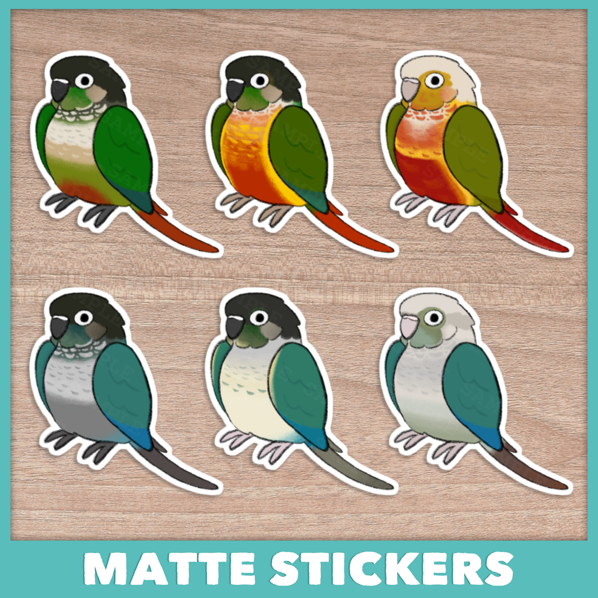 Conure (Pyrhurra) Stickers