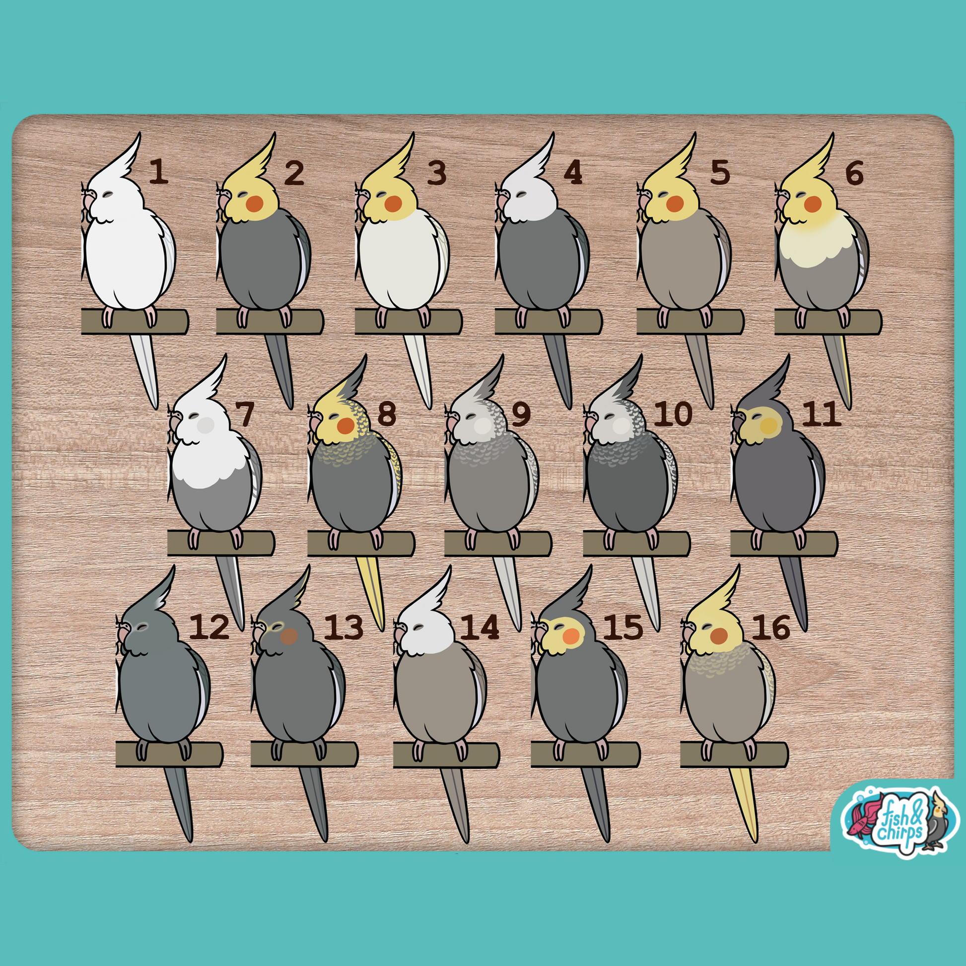 Custom Cockatiel Pair Stickers