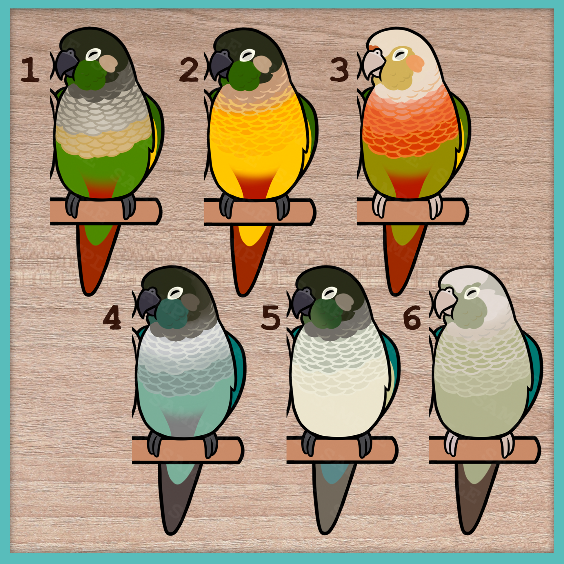 Conure (Pyrhurra) Custom Pair Stickers