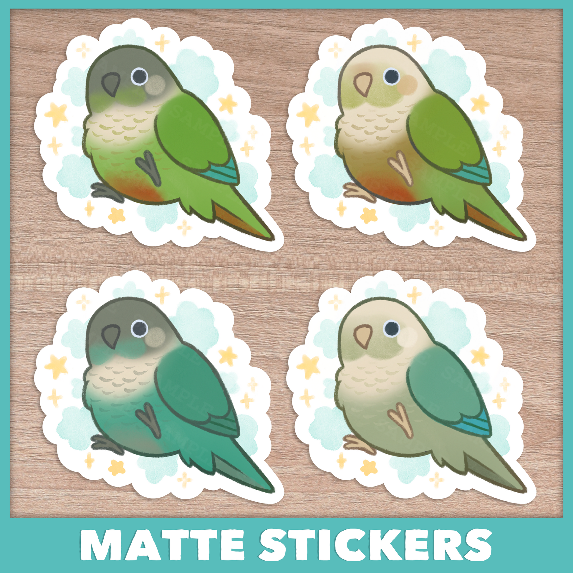 Cloudy Conure (Pyrhurra) Stickers