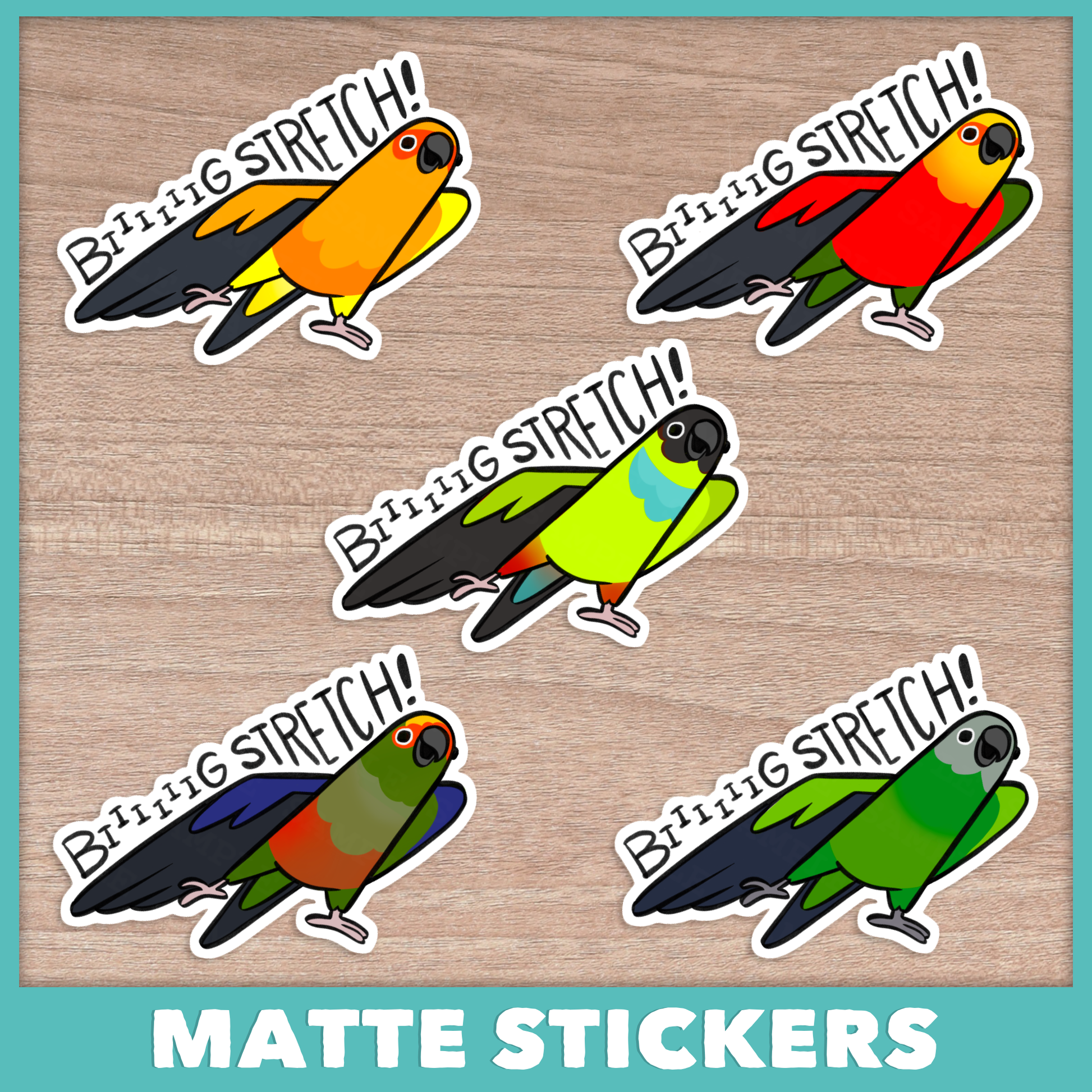 Conure (Aratinga) Big Stretch Stickers