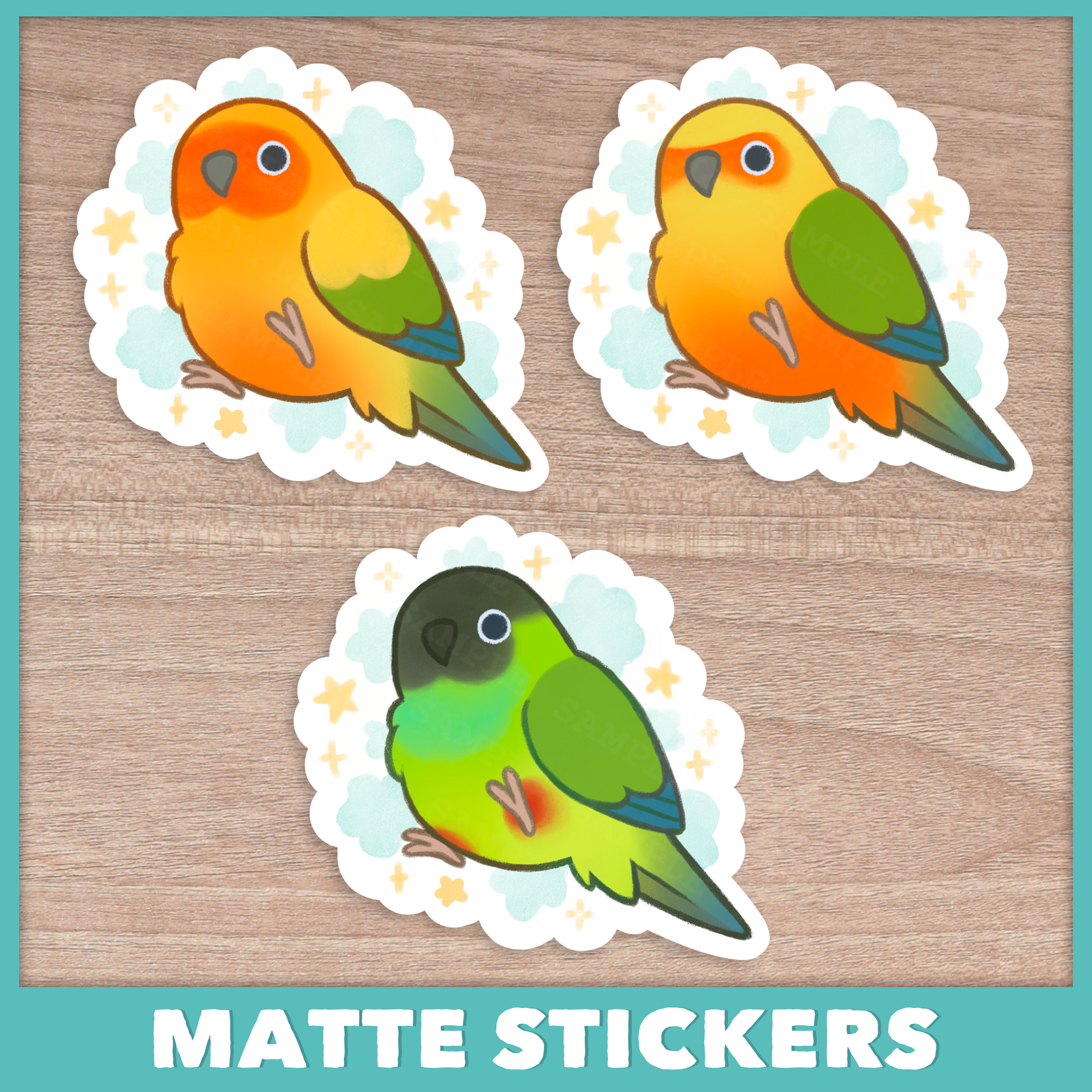 Cloudy Conure (Aratinga) Stickers