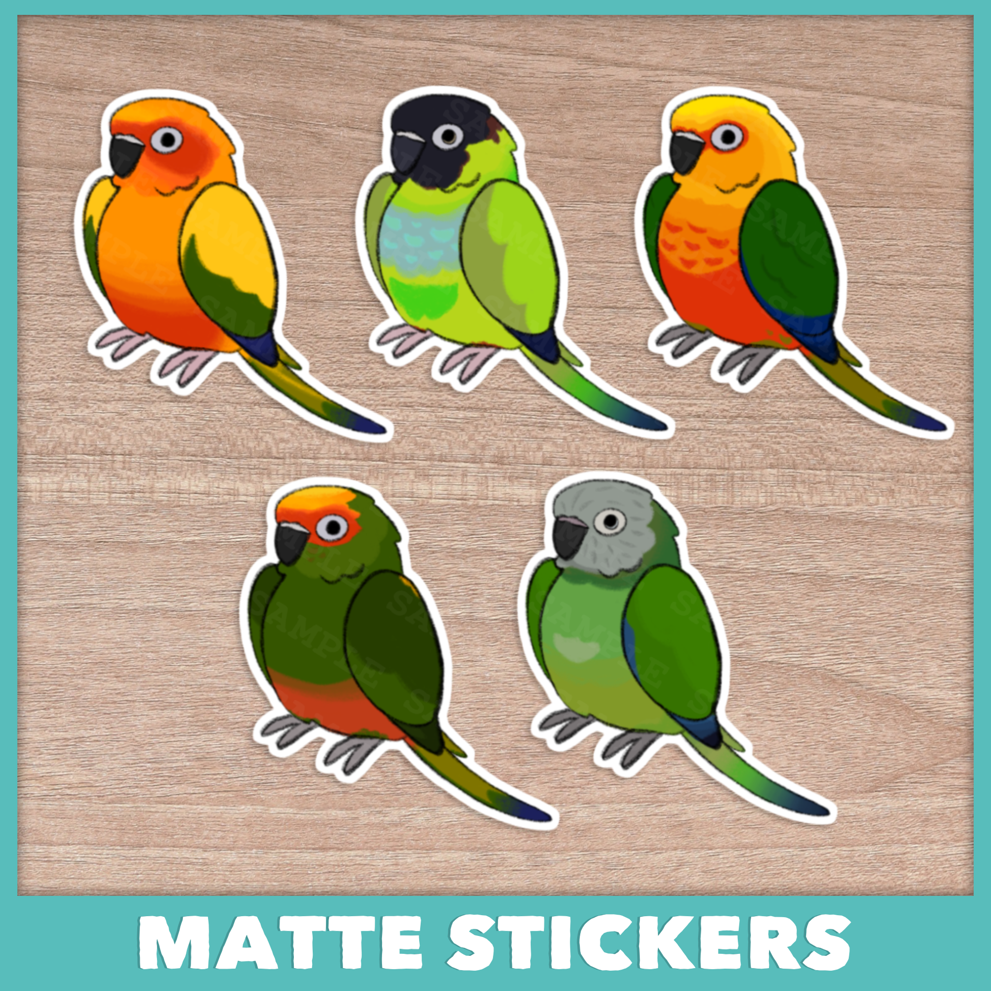 Conure (Aratinga) Stickers