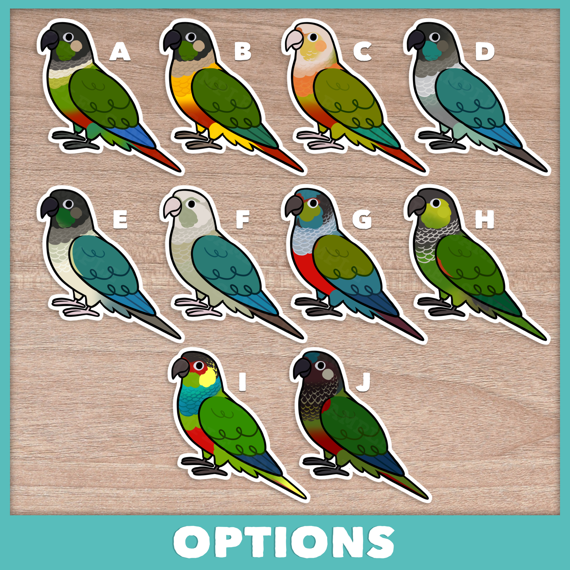 Conure (Pyrhurra) Cuties Stickers