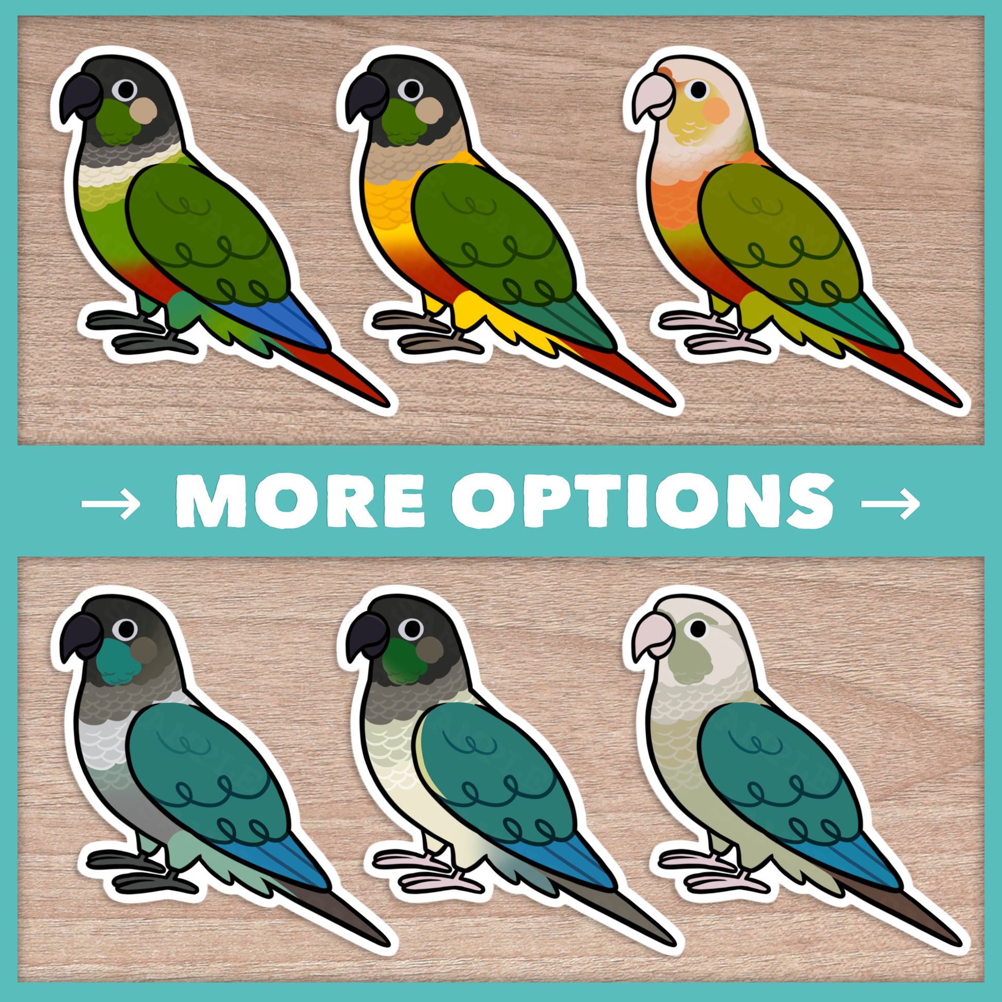 Conure (Pyrhurra) Cuties Stickers