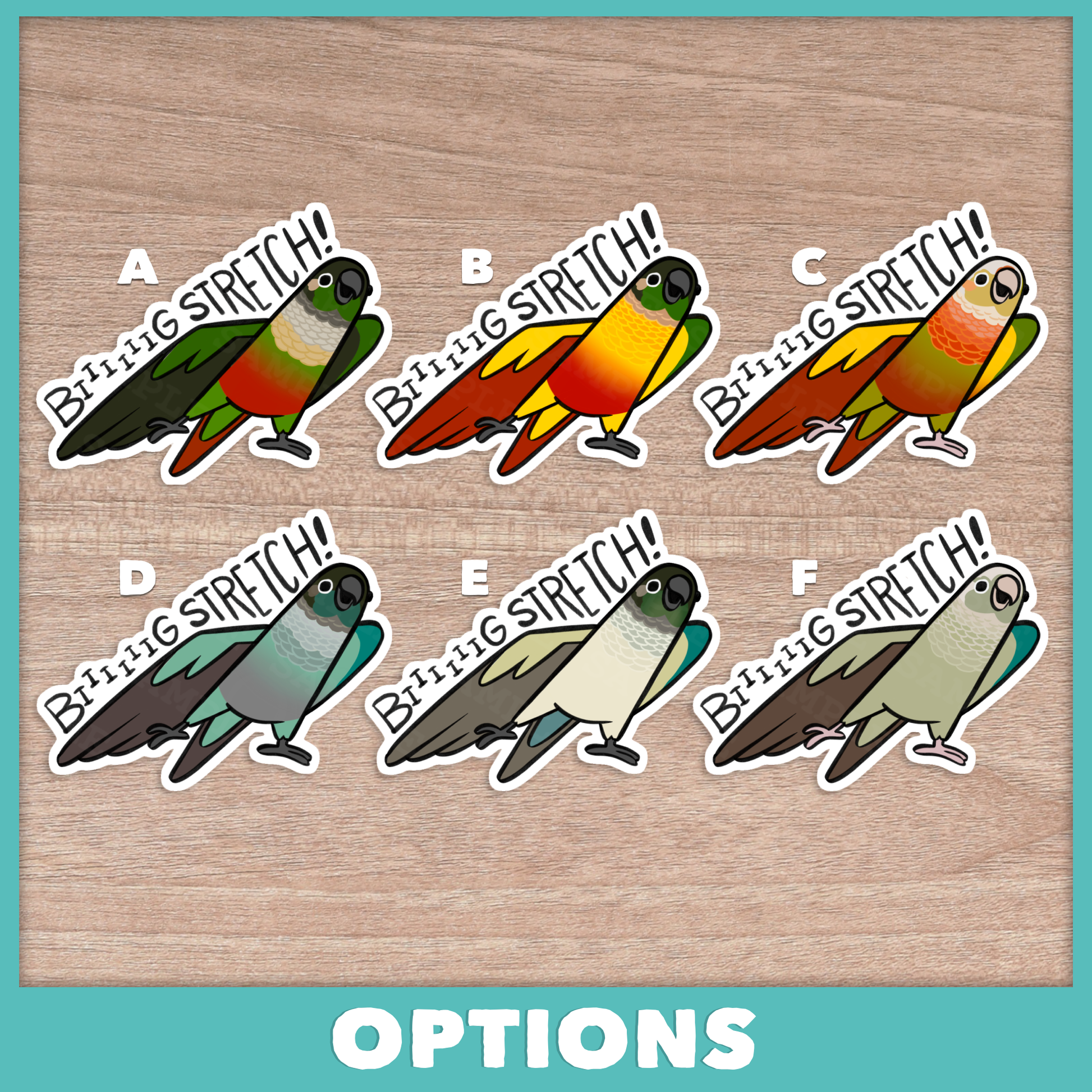 Conure (Pyrhurra) Big Stretch Stickers