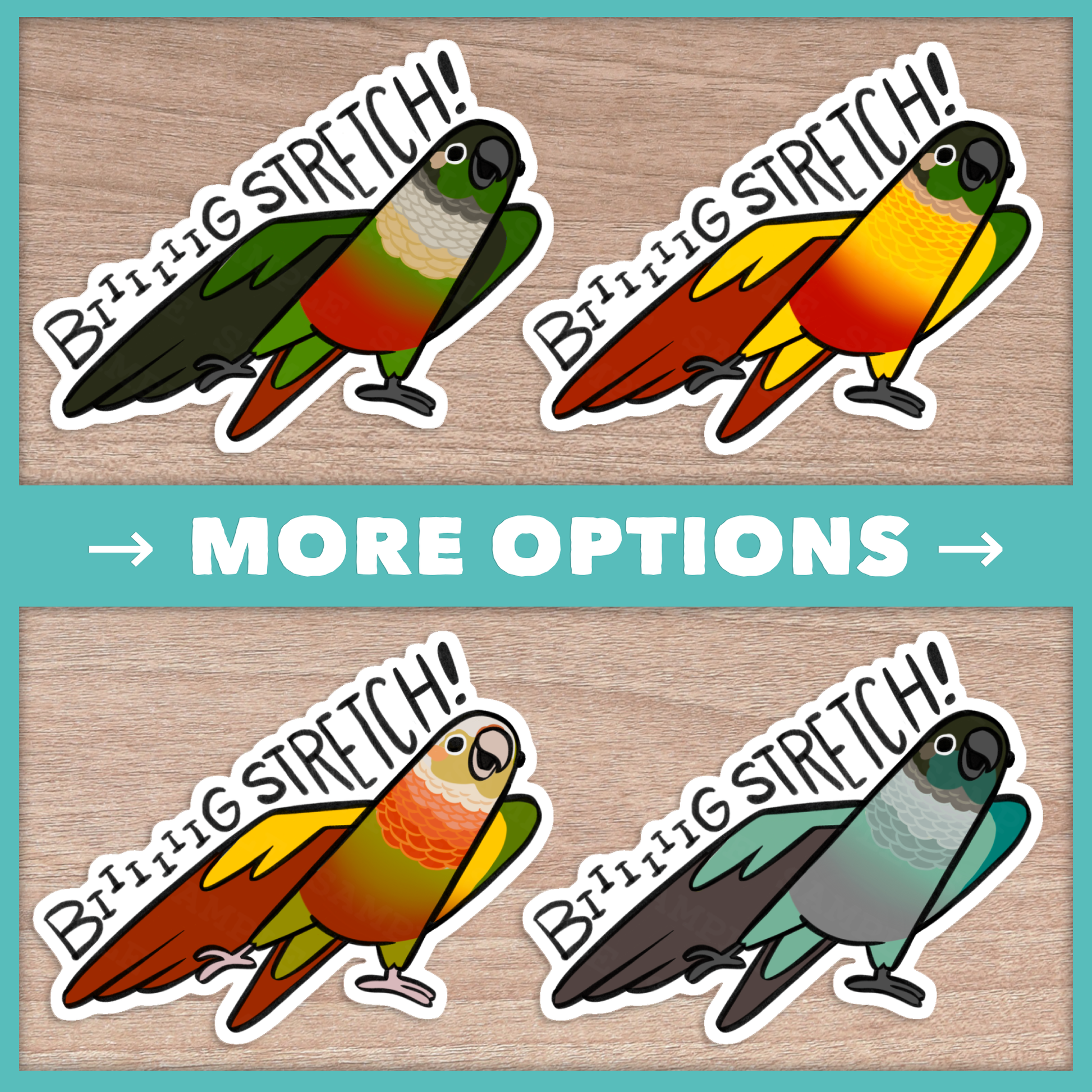 Conure (Pyrhurra) Big Stretch Stickers