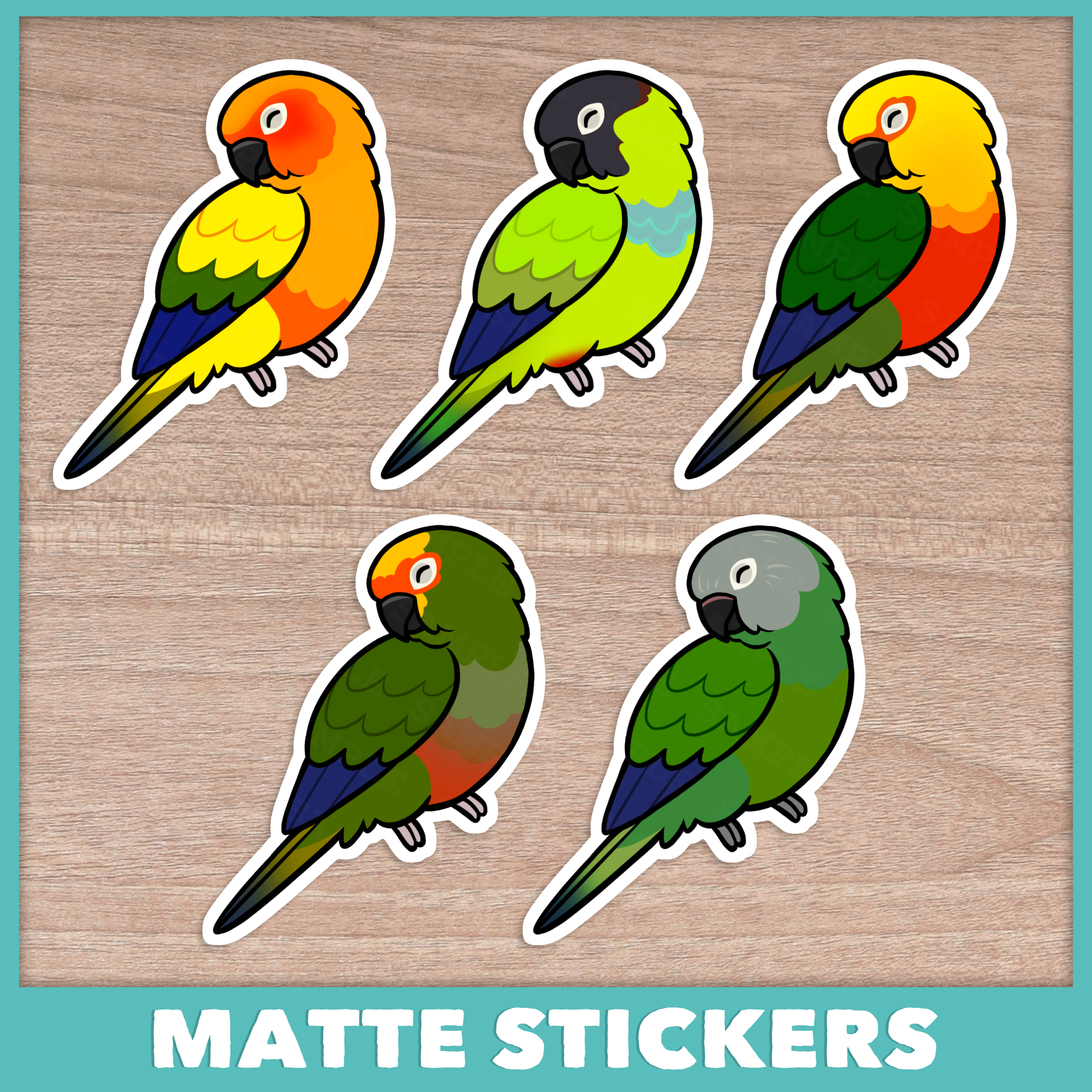 Conure (Aratinga) Sleepers Stickers