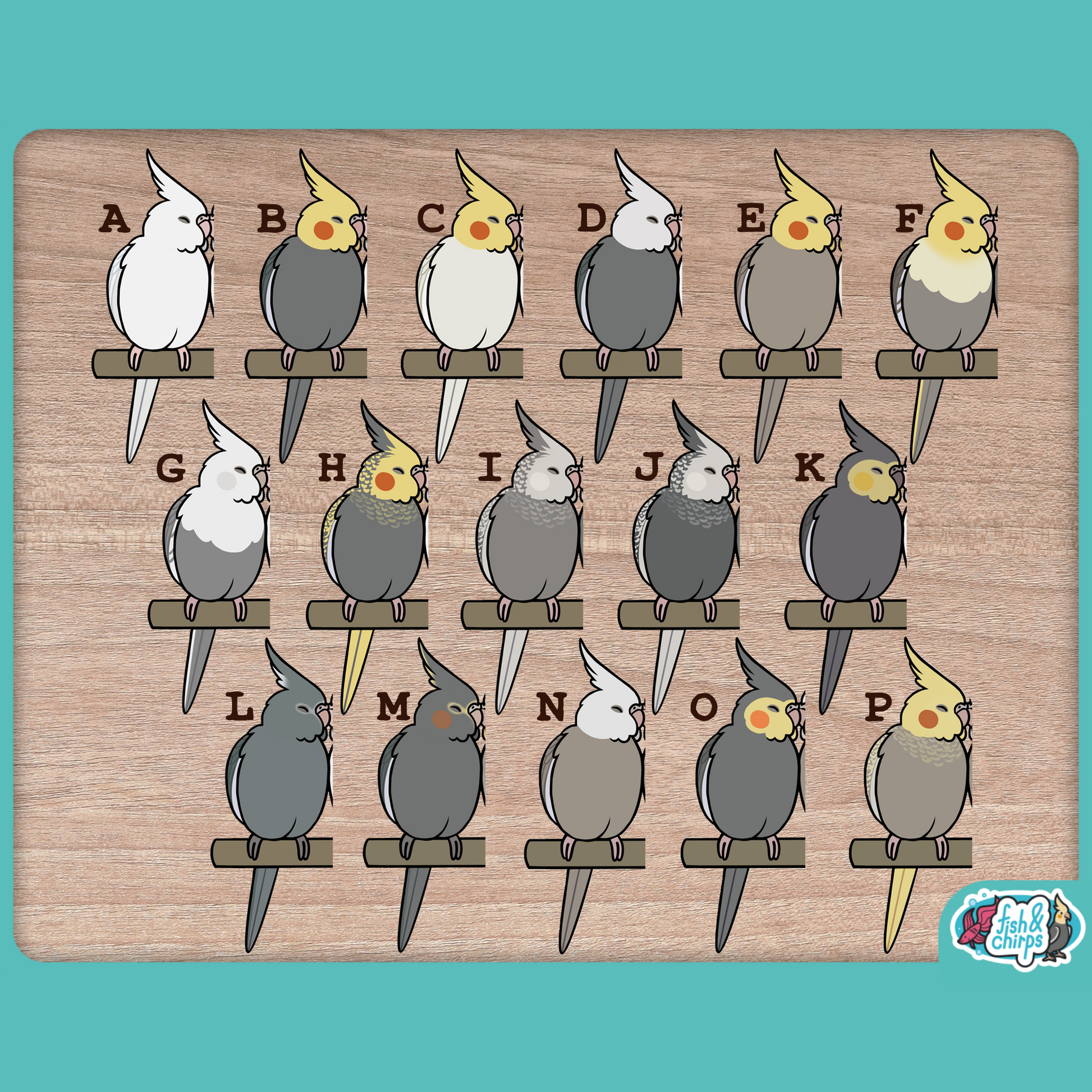 Custom Cockatiel Pair Stickers