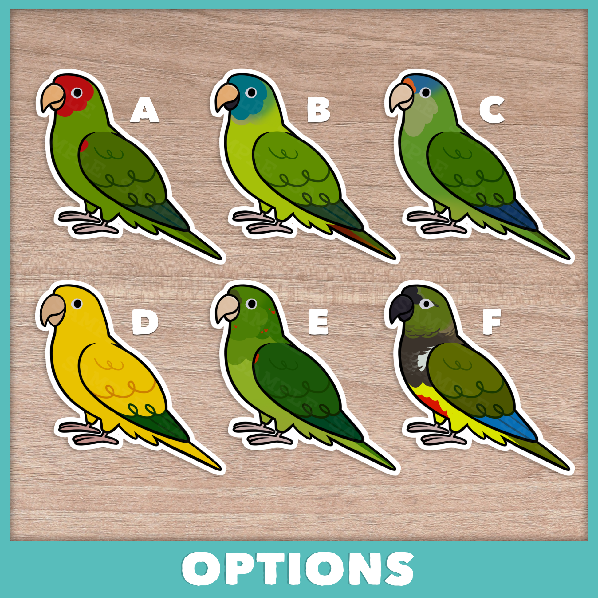 Conure (Misc) Cuties Stickers