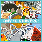 Any 10 Stickers Bundle