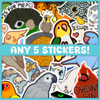 Any 5 Stickers Bundle