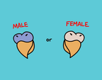 Budgie (Cuties) Stickers