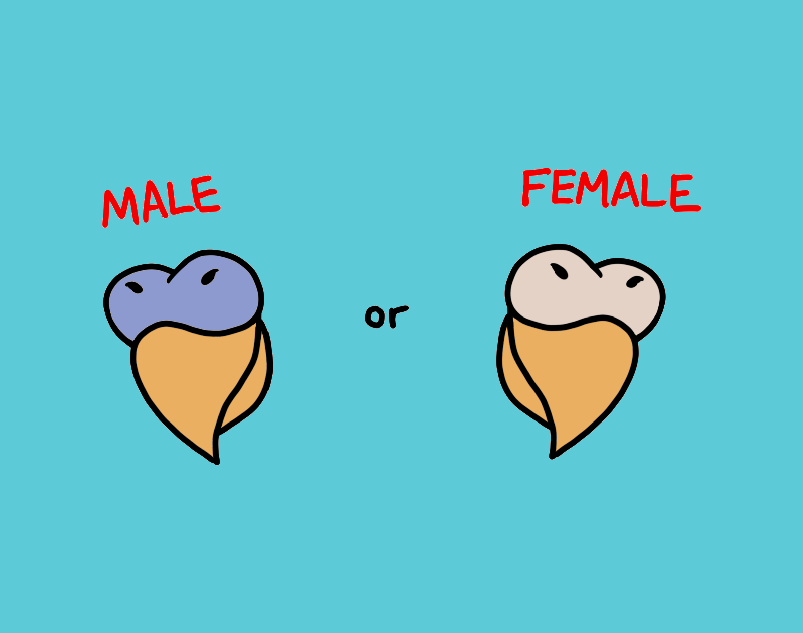 Budgie (Cuties) Stickers