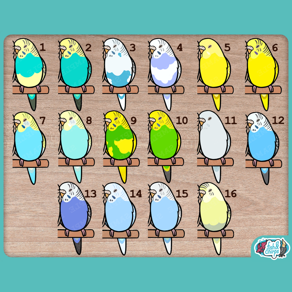 Custom Budgie Pair Stickers