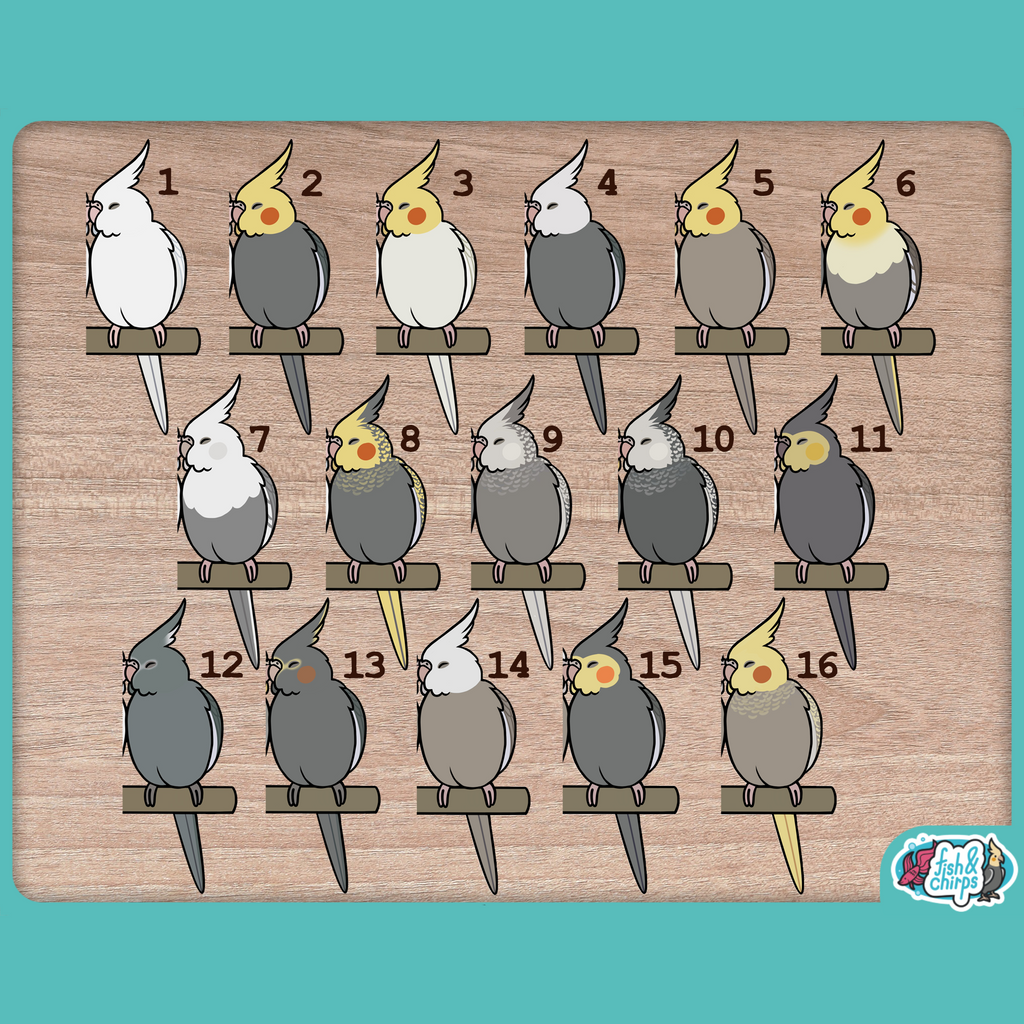 Custom Cockatiel Pair Stickers