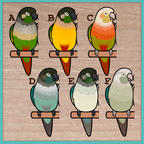 Conure (Pyrhurra) Custom Pair Stickers