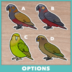 New Zealand Parrots Stickers