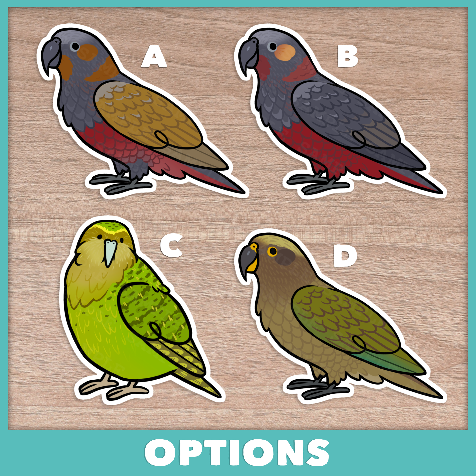 New Zealand Parrots Stickers