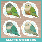 Cloudy Conure (Pyrhurra) Stickers