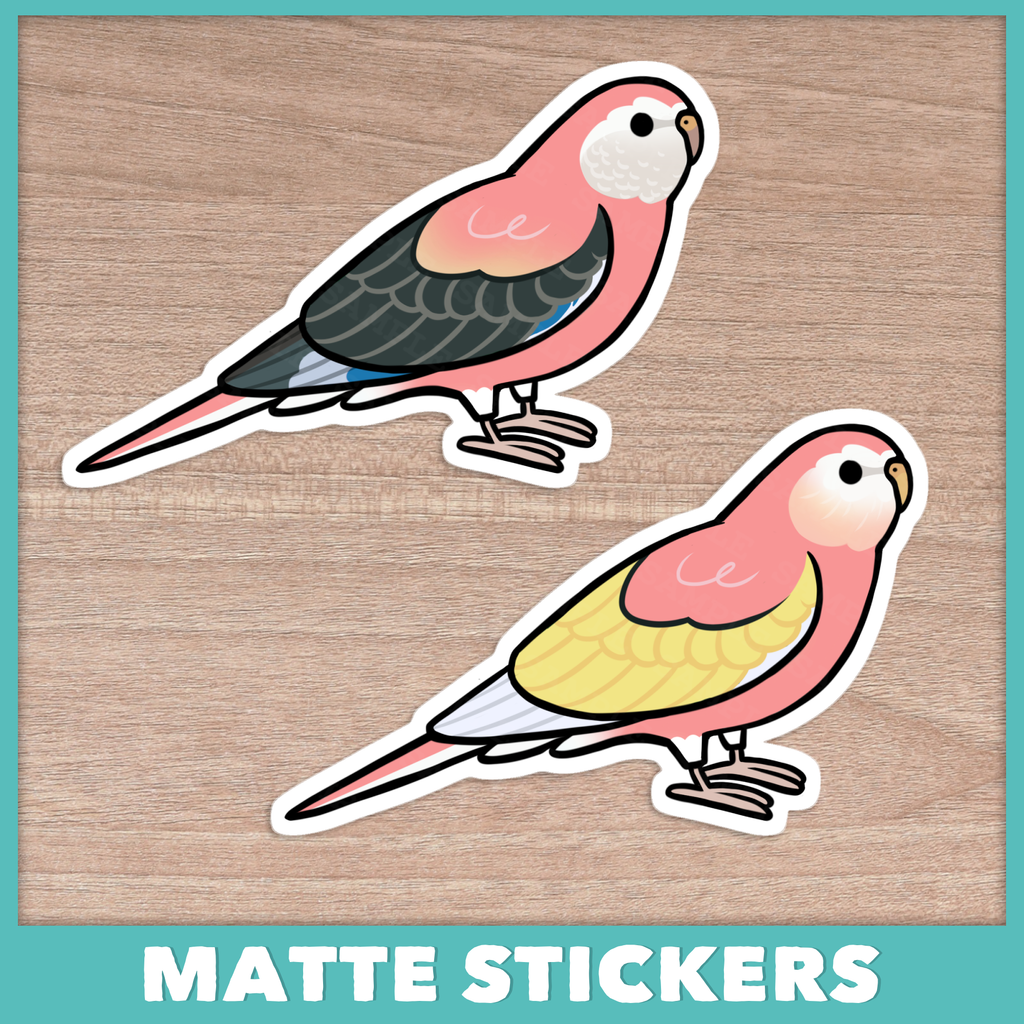 Bourke's Parakeet (Cuties) Sticker