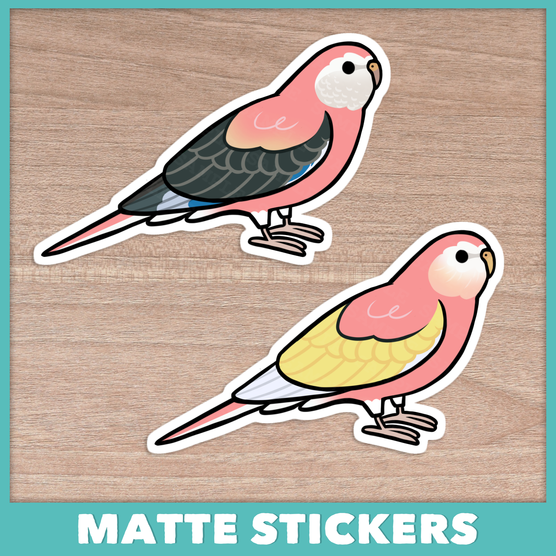 Bourke's Parakeet (Cuties) Sticker