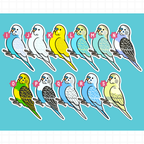 Budgie (Cuties) Stickers