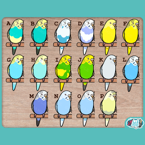 Custom Budgie Pair Stickers