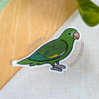 Canary-Winged Parakeet (Cuties) Sticker