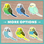 Budgie (Budgerigar) Stickers