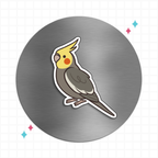 Cockatiel Cuties Flat Magnet