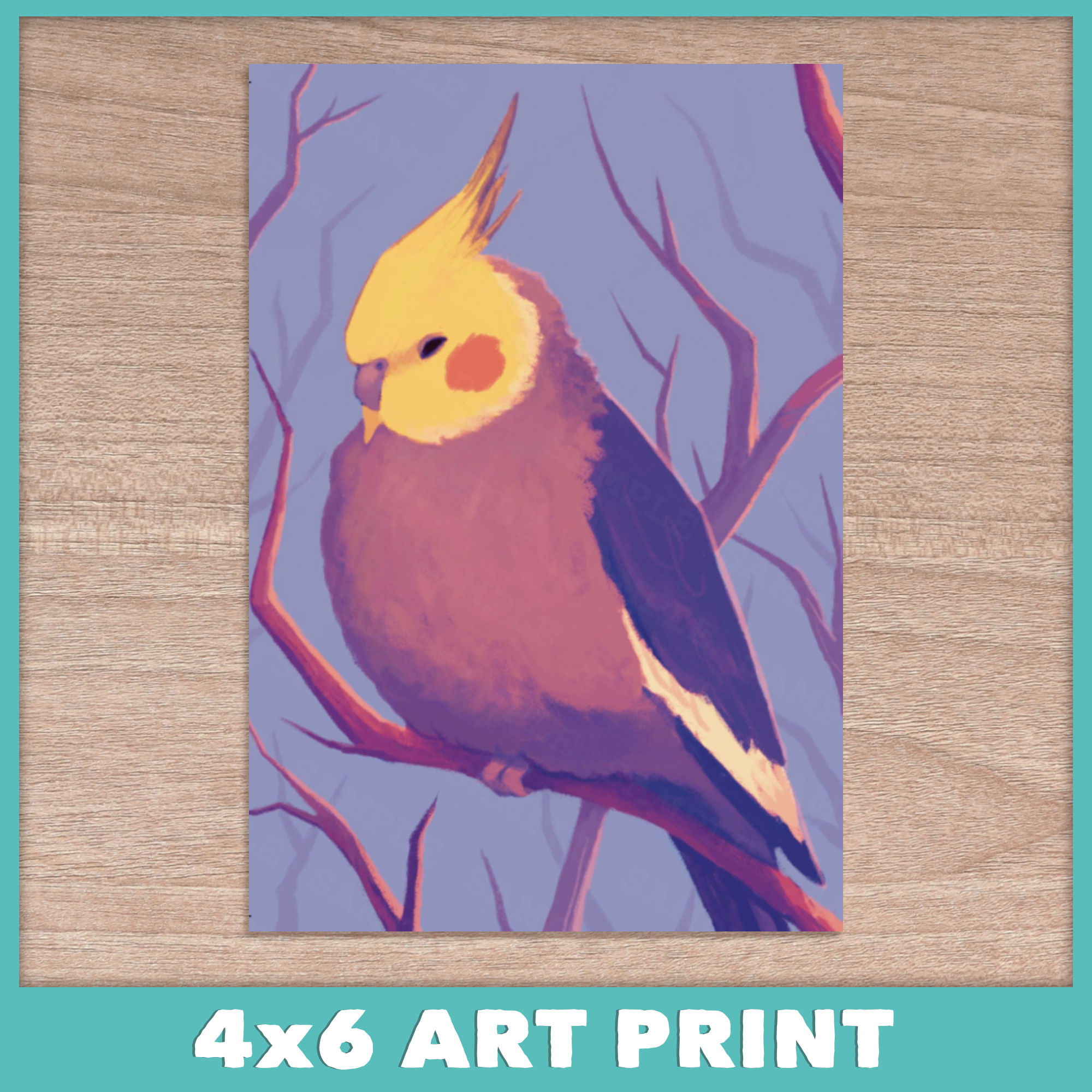 Calm Cockatiel Postcard Print