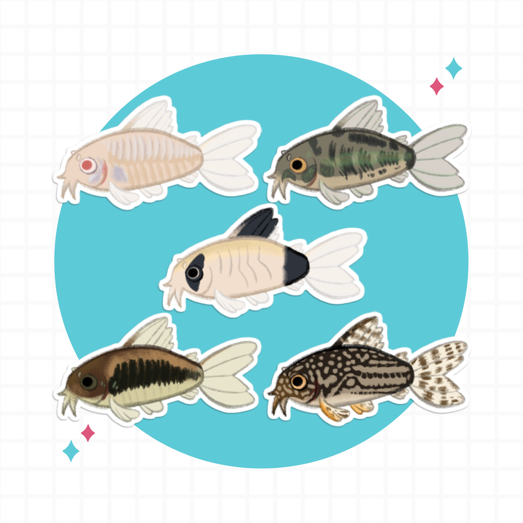Corydoras Catfish Stickers