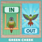 In/Out of Cage Door Hanger (Green Cheek Conure) - 2025 Version!