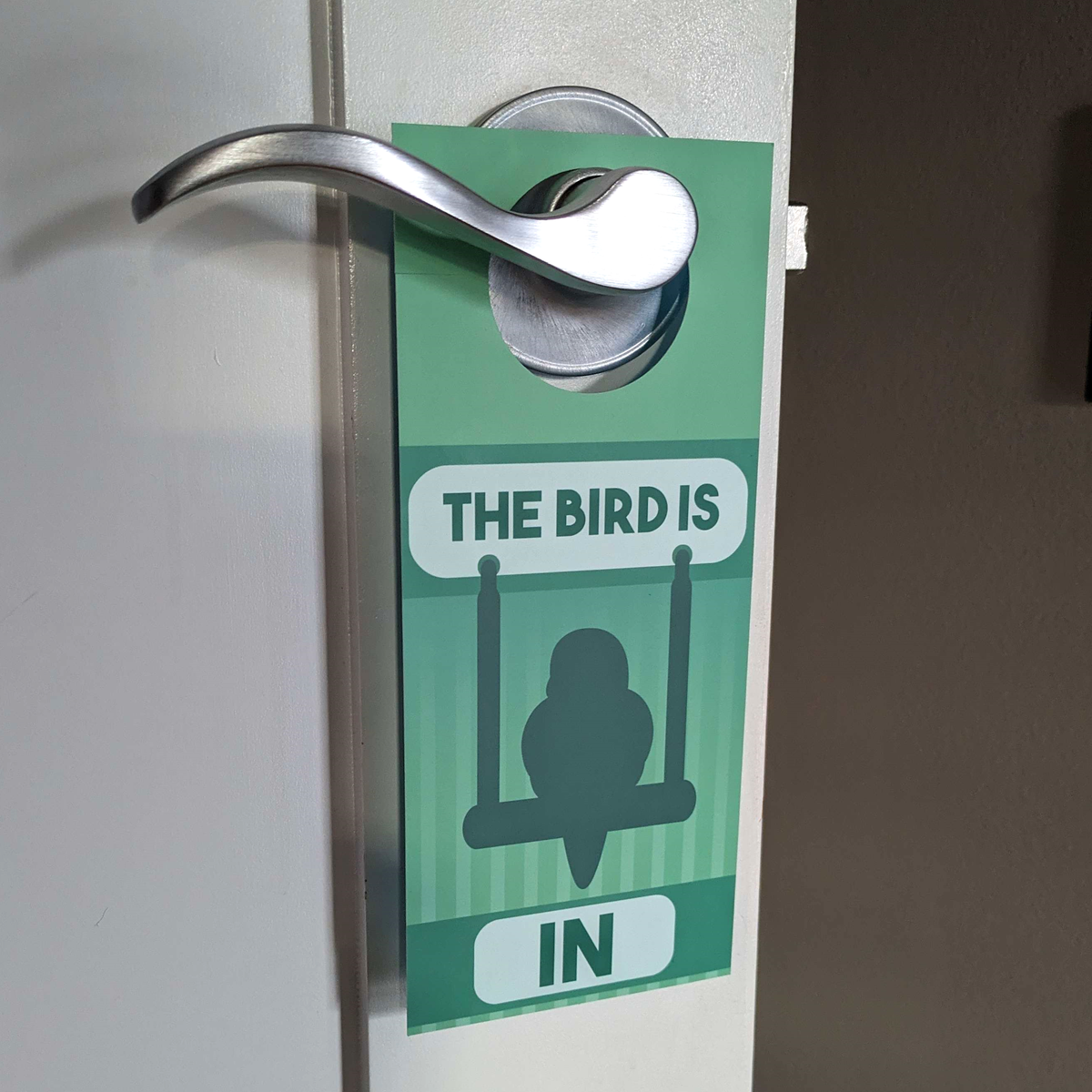 In/Out of Cage Door Hanger (Indian Ringneck) - 2023 Version