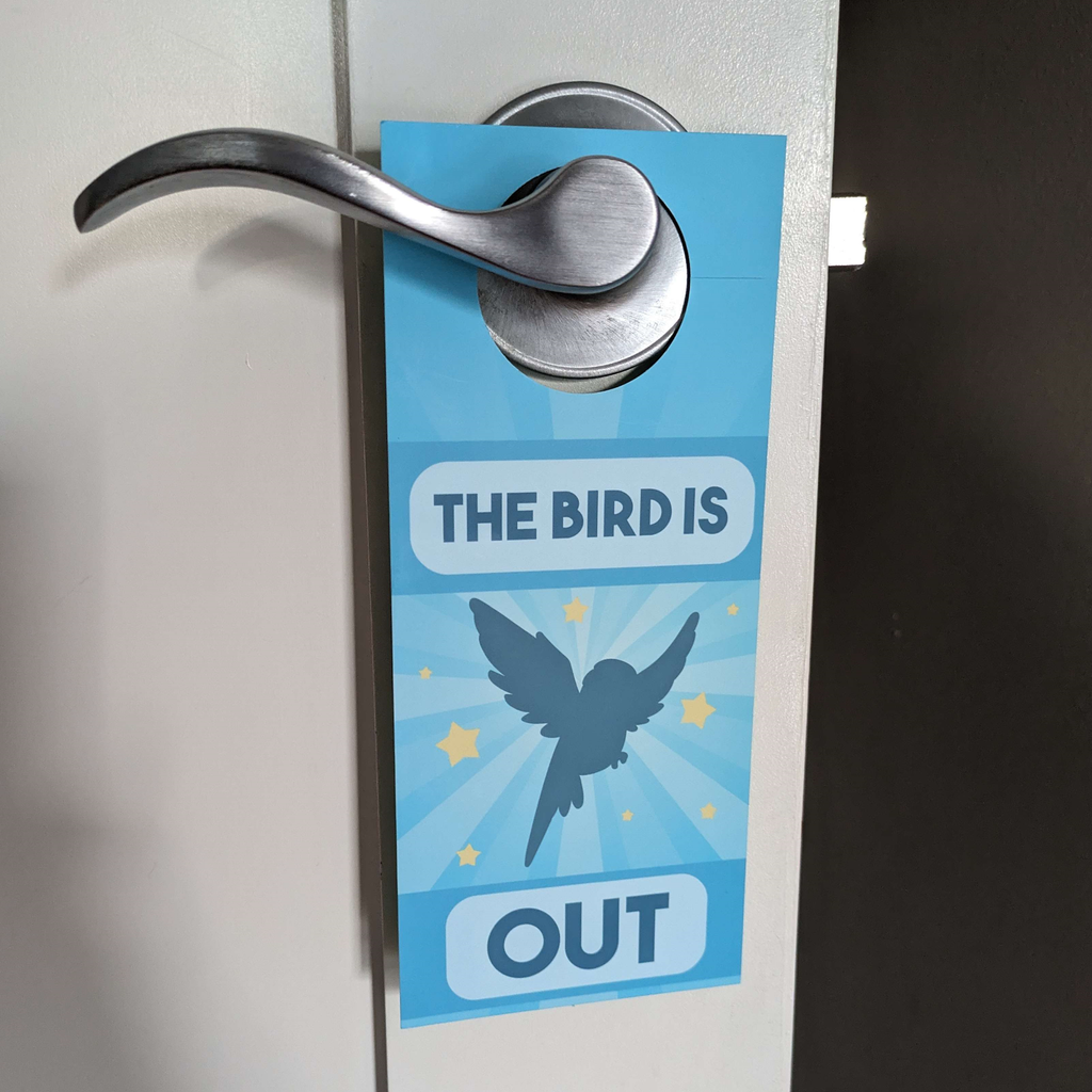 In/Out of Cage Door Hanger (Green Cheek Conure) - 2023 Version