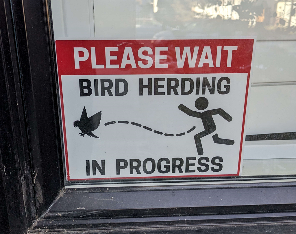 Bird Herding Posterboard Sign