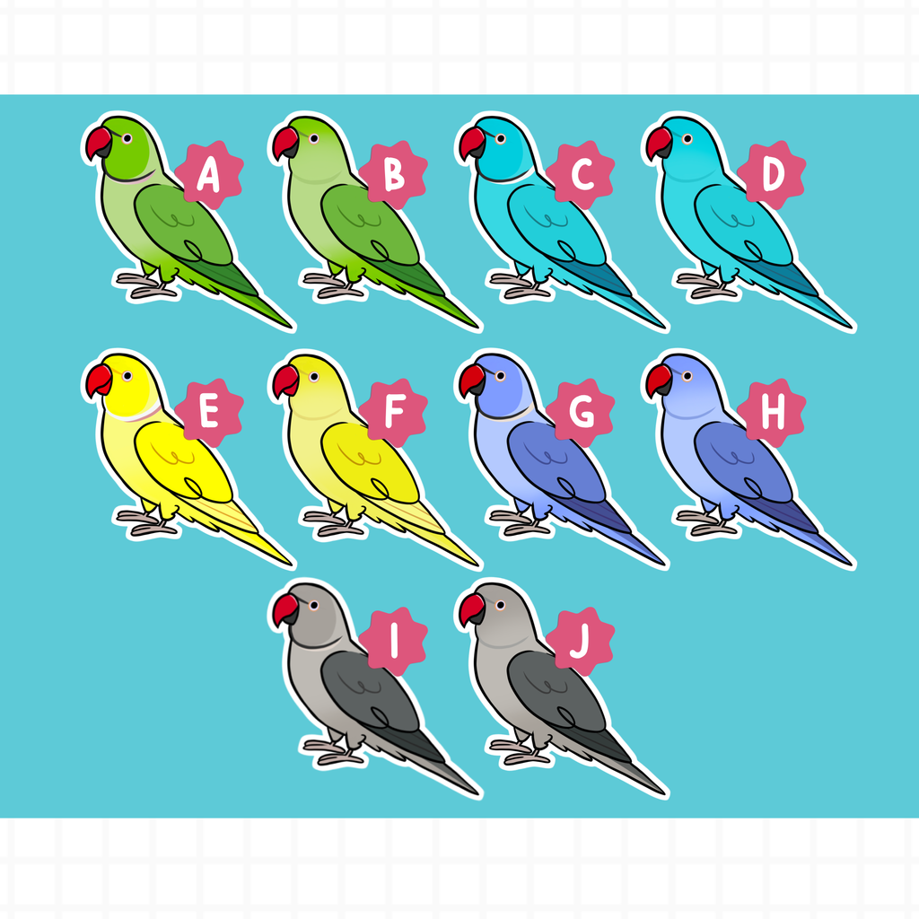 Indian Ringneck (Cuties) Stickers