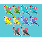 Indian Ringneck (Cuties) Stickers