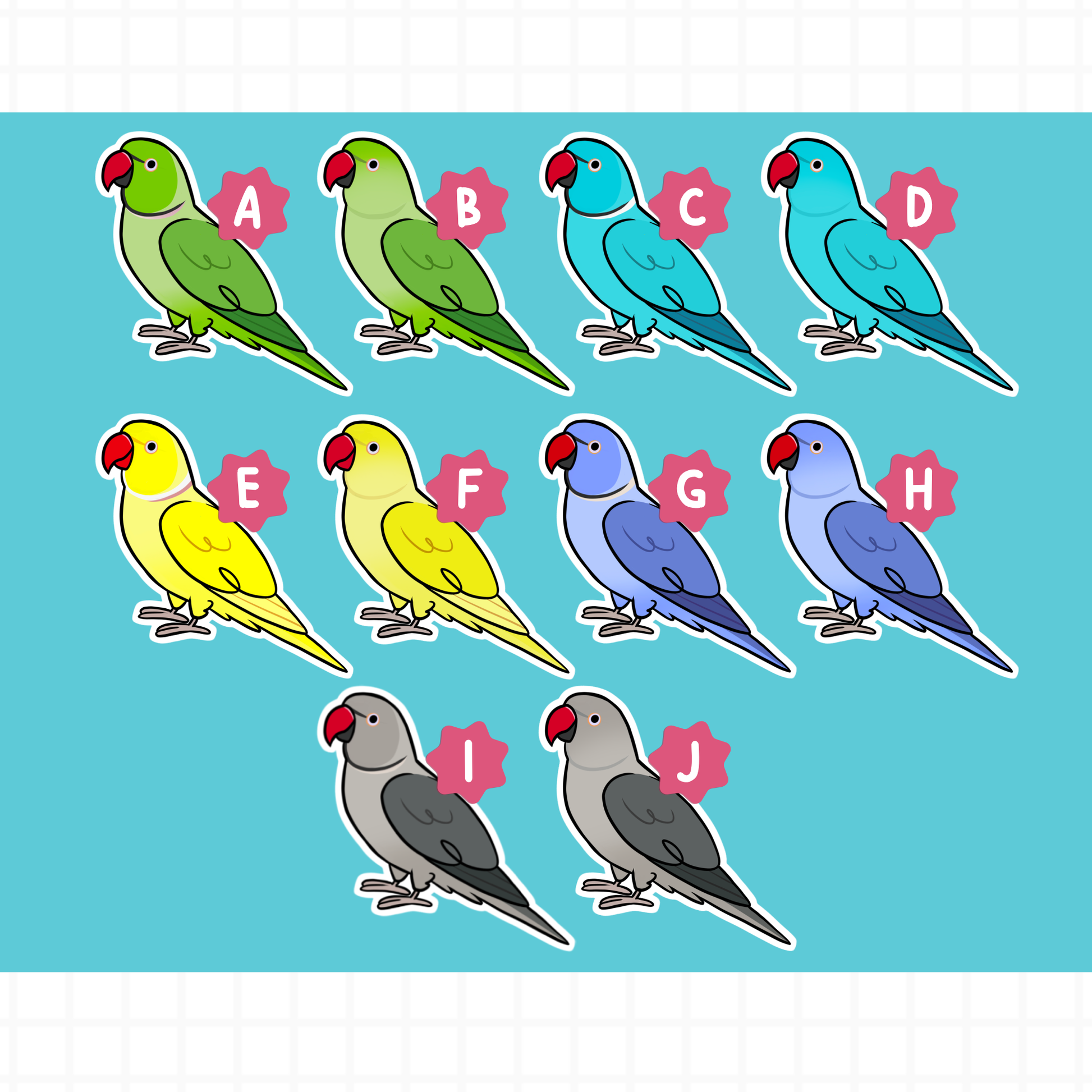 Indian Ringneck (Cuties) Stickers