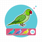 Indian Ringneck (Cuties) Stickers