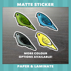 Lineolated/Barred Parakeet (Linnies) Waterproof Stickers