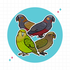 New Zealand Parrots Stickers