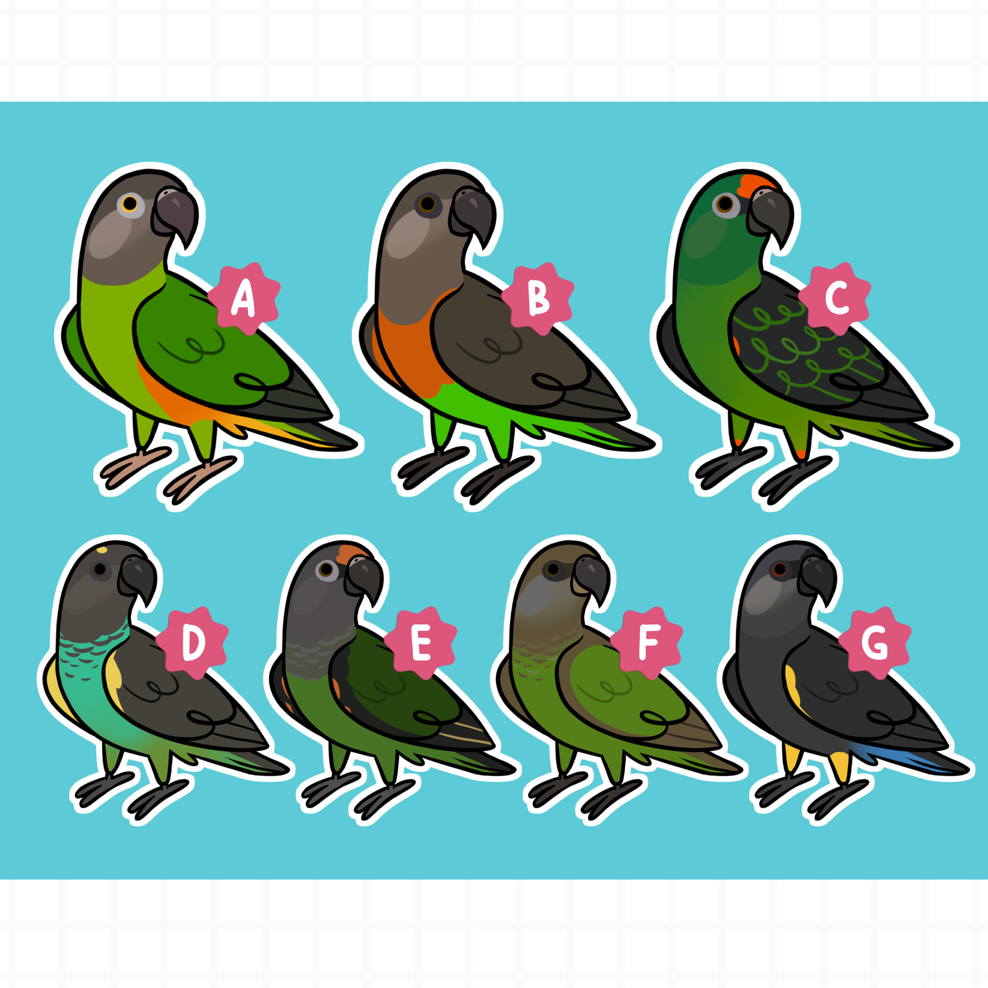 Poicephalus (Cuties) Stickers