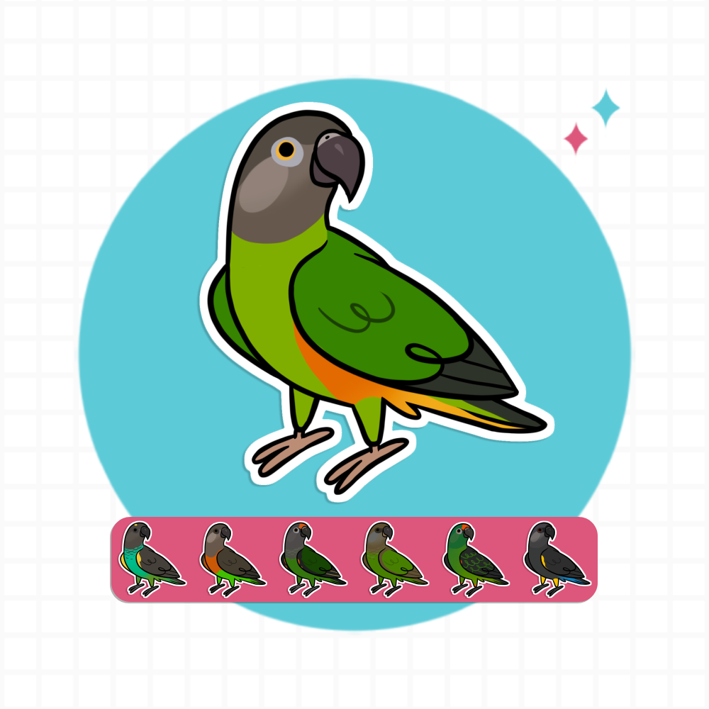 Poicephalus (Cuties) Stickers