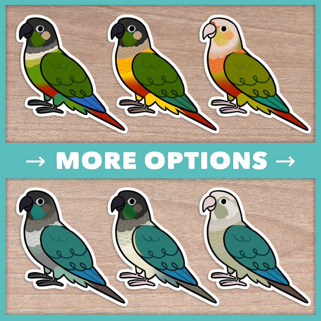 Conure (Pyrhurra) Cuties Stickers