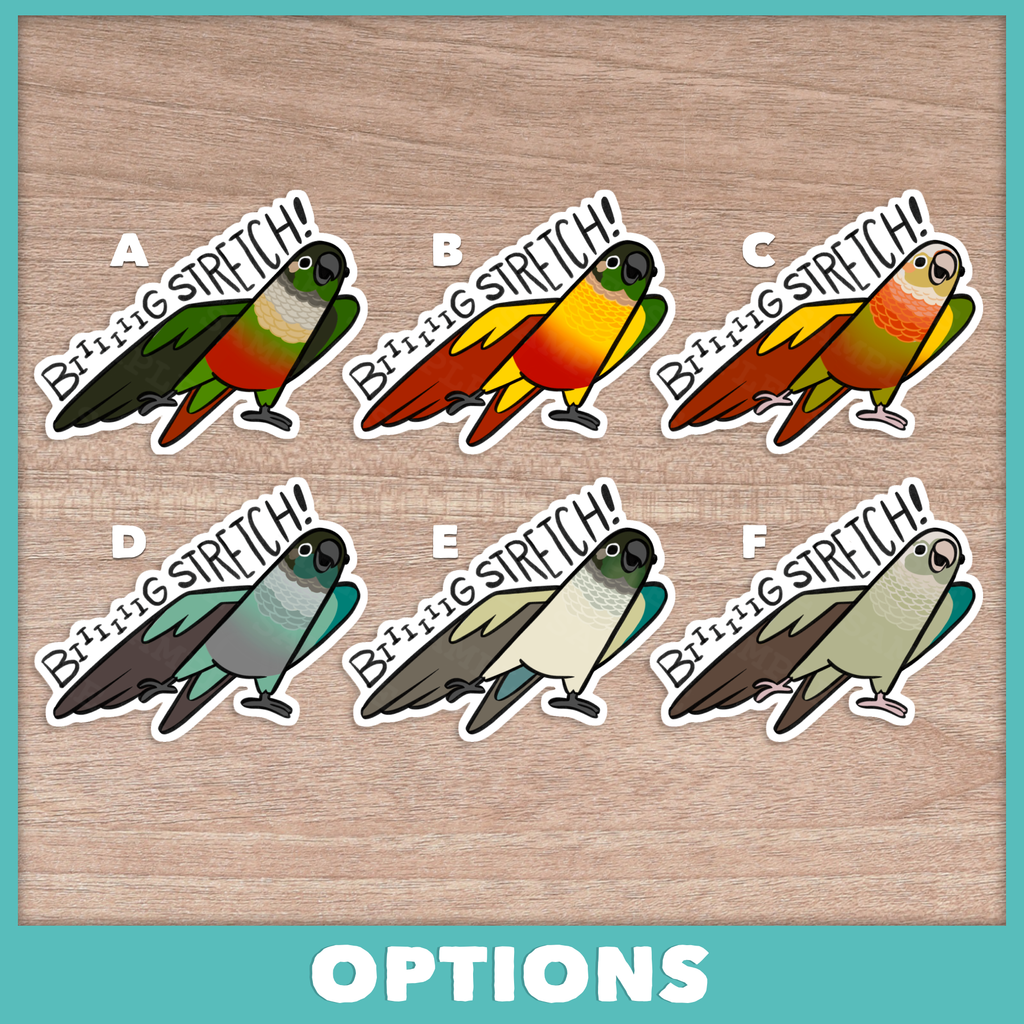Conure (Pyrhurra) Big Stretch Stickers