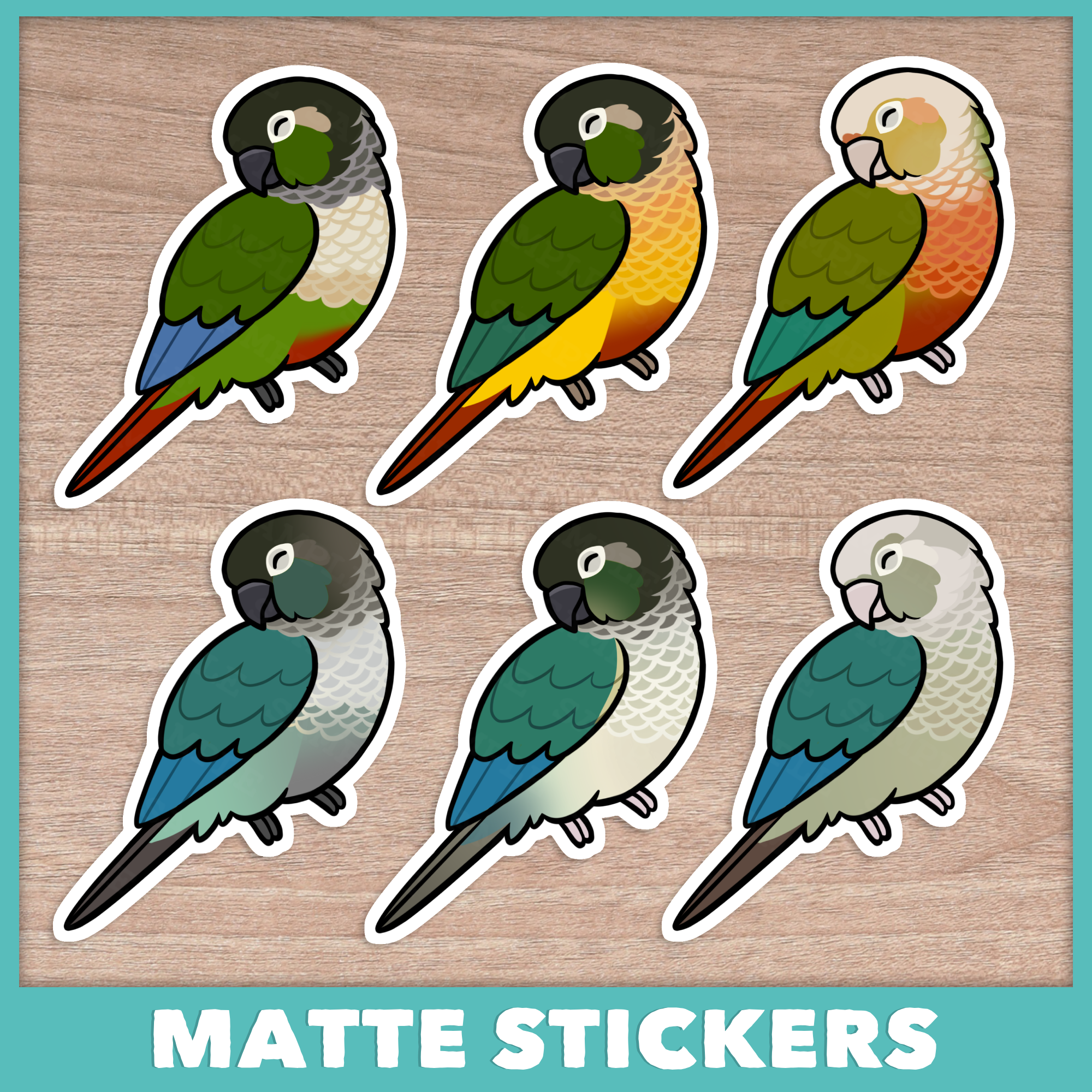 Conure (Pyrhurra) Sleepers Stickers