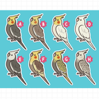 Cockatiel (Cuties) Stickers