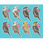 Cockatiel (Cuties) Stickers